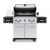 Газовый гриль Broil King Regal S590IR — подробное фото и характеристики Газовый гриль Broil King Regal S590IR — купить с доставкой и консультацией