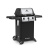 Газовый гриль Broil King Gem 310 — подробное фото и характеристики Газовый гриль Broil King Gem 310 — купить с доставкой и консультацией