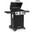 Газовый гриль Broil King Gem 310 — подробное фото и характеристики Газовый гриль Broil King Gem 310 — купить с доставкой и консультацией