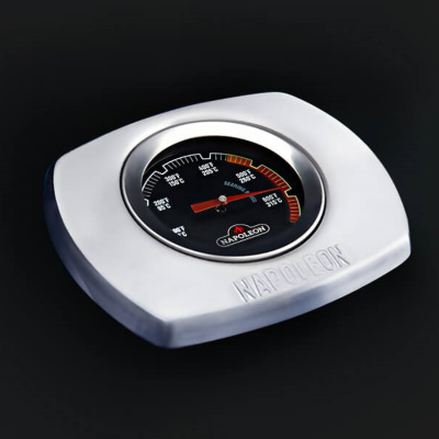 Газовый гриль NAPOLEON TravelQ-285 (портативный) — купить с доставкой и консультацией